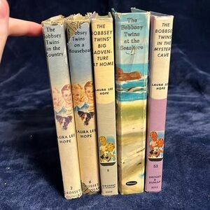 Bobbsey Twins Vintage Book Bundle